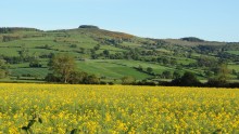 View of The Callow from Brockton